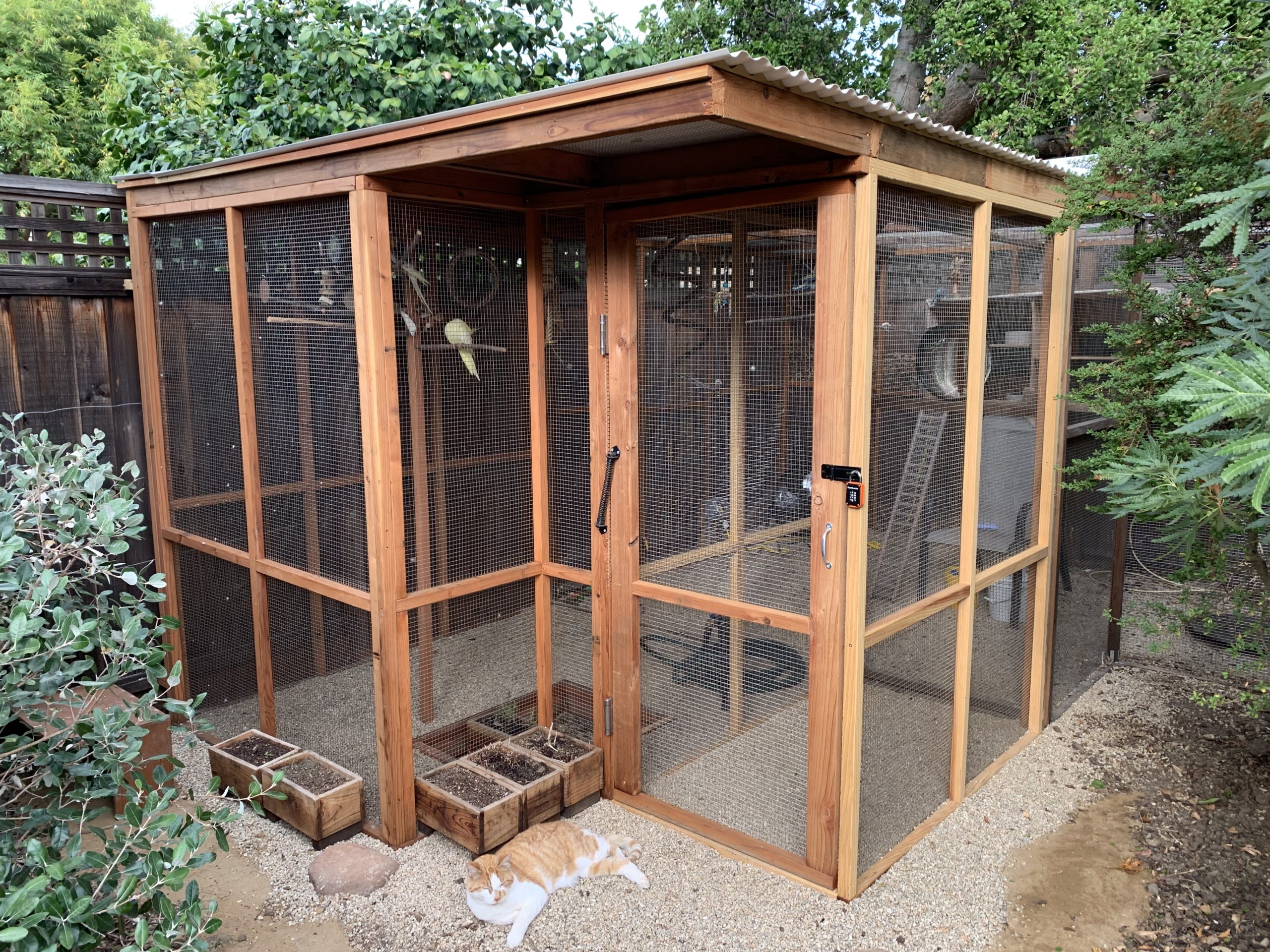 Best birds store for outdoor aviary