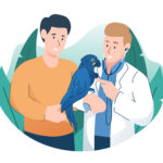 Veterinarian,Examining,A,Parrot,With,Stethoscope.,Pet,Health,Care,And